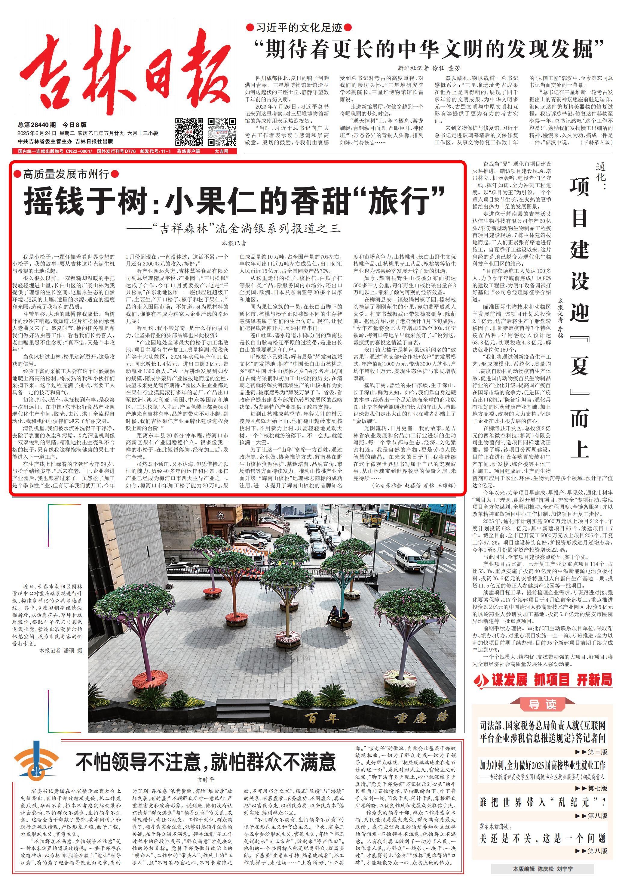 高质量发展市州行| 摇钱于树：小果仁的香甜“旅行”